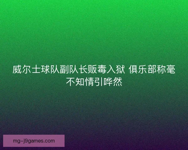 威尔士球队副队长贩毒入狱 俱乐部称毫不知情引哗然